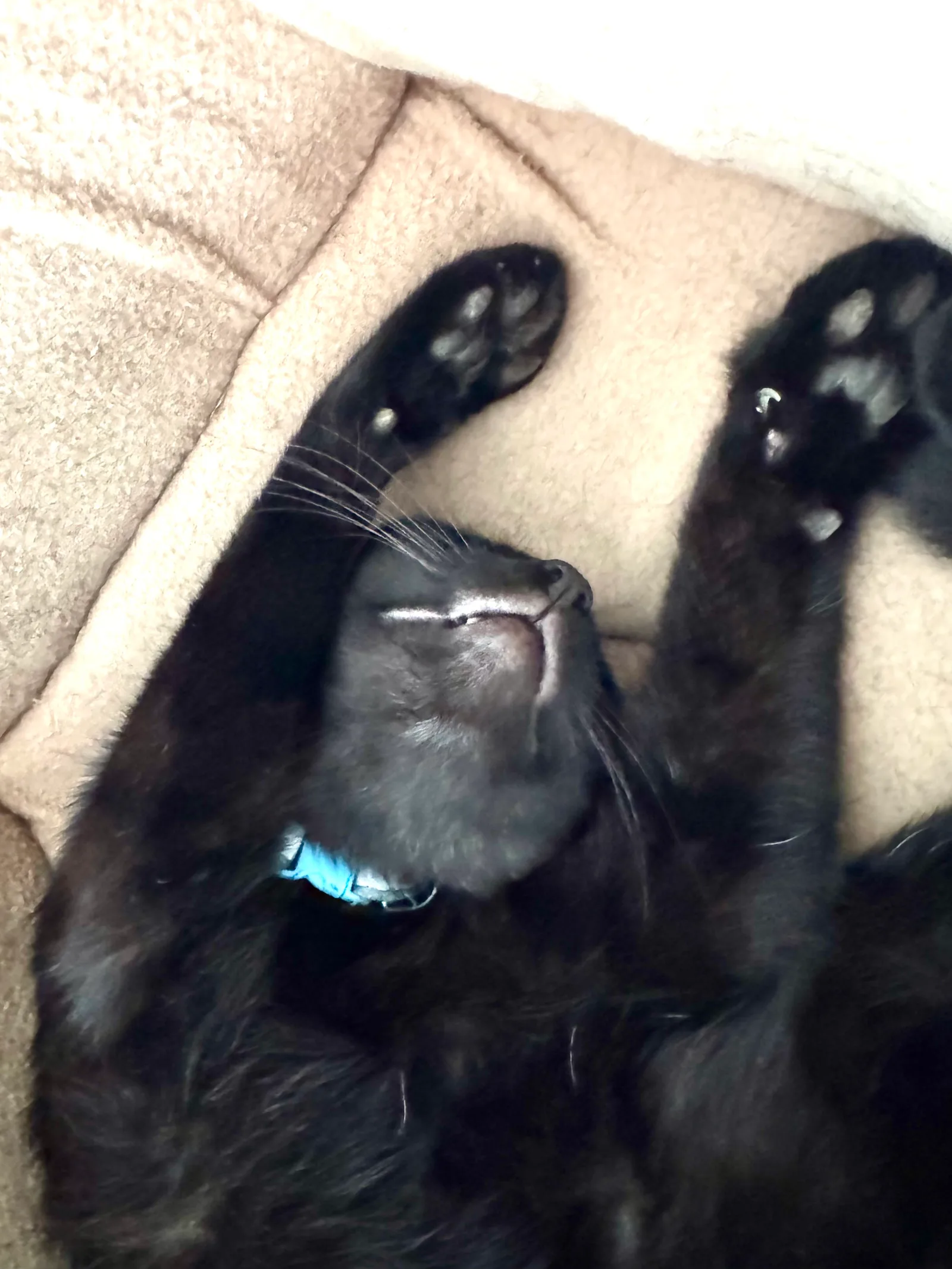 Sleep